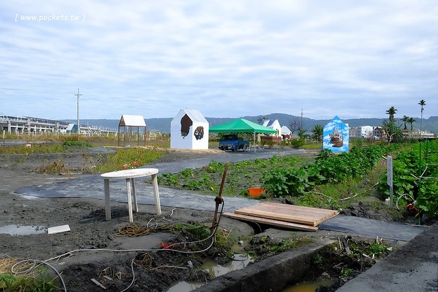 2016台灣蜀藝節-田中窯創意園區┃彰化旅遊景點:蜀葵花田迷宮躲貓貓、美麗的大片落羽松、貓咪主題裝置藝術、窯烤麵包、青森蘋果霜淇淋、鄰近高鐵彰化站步行10分鐘即可抵達 @飛天璇的口袋