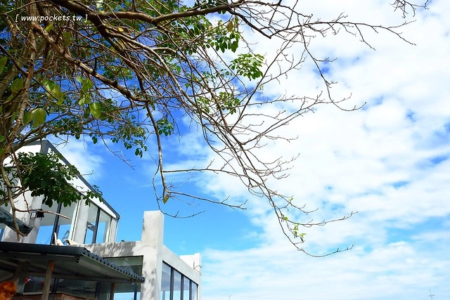 2016台灣蜀藝節-田中窯創意園區┃彰化旅遊景點:蜀葵花田迷宮躲貓貓、美麗的大片落羽松、貓咪主題裝置藝術、窯烤麵包、青森蘋果霜淇淋、鄰近高鐵彰化站步行10分鐘即可抵達 @飛天璇的口袋