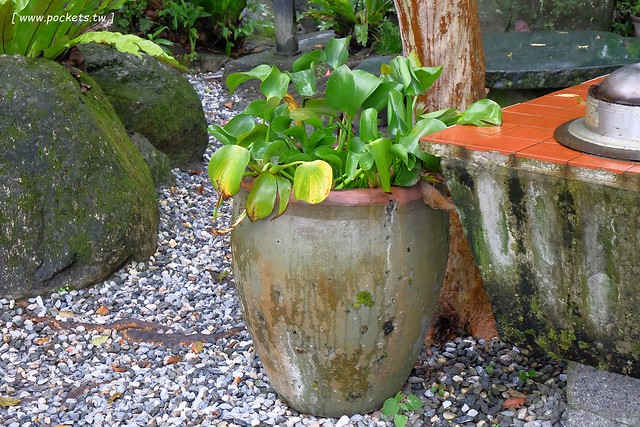 花蓮鳳林|月廬梅子雞|隱身在半山腰中,有擁絕佳的美景,連在地人都激推的好吃梅子雞,要提前預約才吃的到,此行最懷念的花蓮美食推薦 @飛天璇的口袋