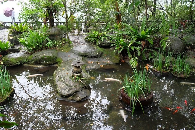 花蓮鳳林|月廬梅子雞|隱身在半山腰中,有擁絕佳的美景,連在地人都激推的好吃梅子雞,要提前預約才吃的到,此行最懷念的花蓮美食推薦 @飛天璇的口袋