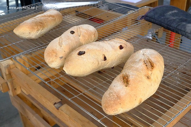 2016台灣蜀藝節-田中窯創意園區┃彰化旅遊景點:蜀葵花田迷宮躲貓貓、美麗的大片落羽松、貓咪主題裝置藝術、窯烤麵包、青森蘋果霜淇淋、鄰近高鐵彰化站步行10分鐘即可抵達 @飛天璇的口袋