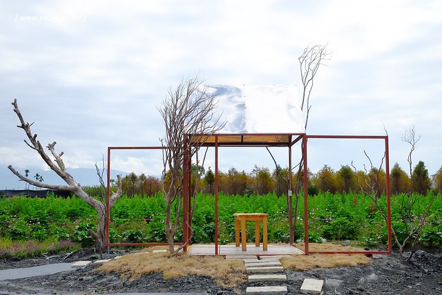 2016台灣蜀藝節-田中窯創意園區┃彰化旅遊景點:蜀葵花田迷宮躲貓貓、美麗的大片落羽松、貓咪主題裝置藝術、窯烤麵包、青森蘋果霜淇淋、鄰近高鐵彰化站步行10分鐘即可抵達 @飛天璇的口袋