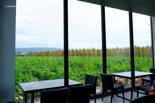 2016台灣蜀藝節-田中窯創意園區┃彰化旅遊景點:蜀葵花田迷宮躲貓貓、美麗的大片落羽松、貓咪主題裝置藝術、窯烤麵包、青森蘋果霜淇淋、鄰近高鐵彰化站步行10分鐘即可抵達 @飛天璇的口袋