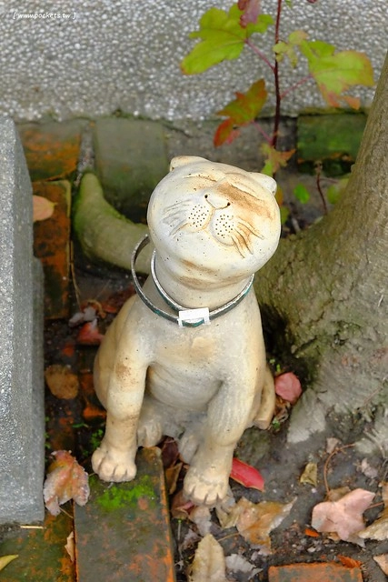 2016台灣蜀藝節-田中窯創意園區┃彰化旅遊景點:蜀葵花田迷宮躲貓貓、美麗的大片落羽松、貓咪主題裝置藝術、窯烤麵包、青森蘋果霜淇淋、鄰近高鐵彰化站步行10分鐘即可抵達 @飛天璇的口袋