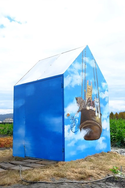 2016台灣蜀藝節-田中窯創意園區┃彰化旅遊景點:蜀葵花田迷宮躲貓貓、美麗的大片落羽松、貓咪主題裝置藝術、窯烤麵包、青森蘋果霜淇淋、鄰近高鐵彰化站步行10分鐘即可抵達 @飛天璇的口袋