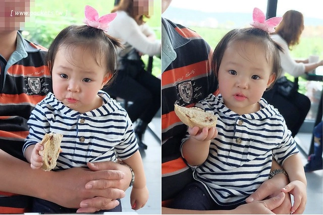 2016台灣蜀藝節-田中窯創意園區┃彰化旅遊景點:蜀葵花田迷宮躲貓貓、美麗的大片落羽松、貓咪主題裝置藝術、窯烤麵包、青森蘋果霜淇淋、鄰近高鐵彰化站步行10分鐘即可抵達 @飛天璇的口袋