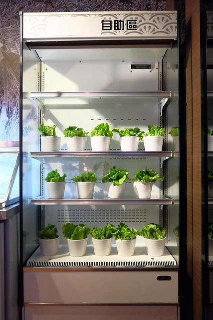 糕糕在尚韓國烤肉┃台中韓式料理:韓式烤肉$499元吃到飽,韓國流行八色豬五花、部隊鍋、拳頭飯,可以體驗穿韓服拍照樂趣,小孩有沙坑可以玩沙,鄰近環中路和龍富夜市 @飛天璇的口袋