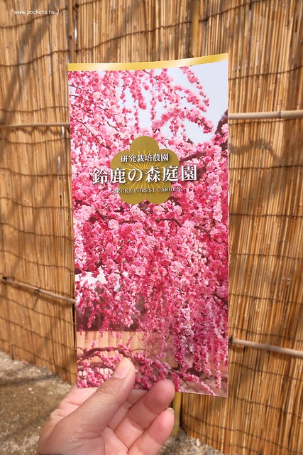 【日本三重】鈴鹿の森庭園~整個美到爆炸的垂枝梅,園內有多種梅花和櫻花可以觀賞,位於南紀三重縣鈴鹿市,自由行遊客建議自駕前往比較方便 @飛天璇的口袋