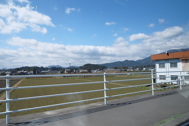 【日本三重】鈴鹿の森庭園~整個美到爆炸的垂枝梅,園內有多種梅花和櫻花可以觀賞,位於南紀三重縣鈴鹿市,自由行遊客建議自駕前往比較方便 @飛天璇的口袋
