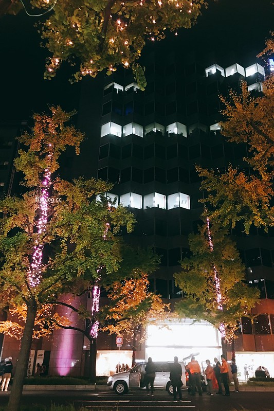 日本大阪|大阪光之饗宴|大阪光之饗宴,2019/11/4~ 2020/1/31,御堂筋(阪神前交差点~難波西口交差点) @飛天璇的口袋