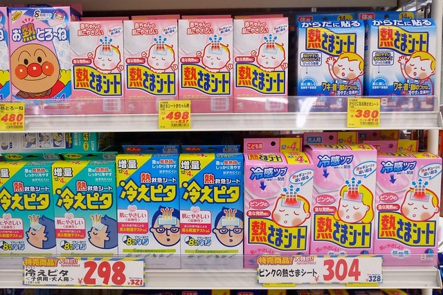 日本沖繩旅遊推薦┃樂天信用卡:租車、旅遊、購物、美食、Wi-Fi分享器都可以享優惠,一卡在手輕鬆玩日本 @飛天璇的口袋