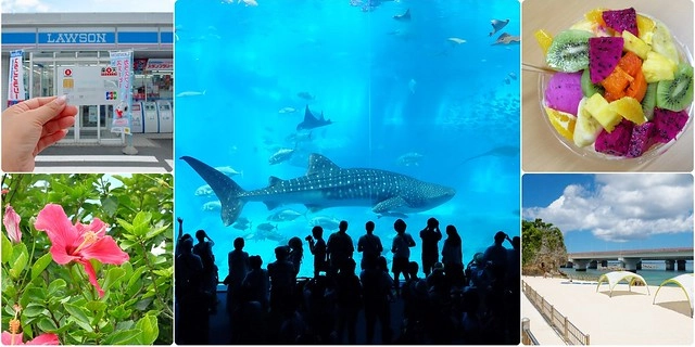 日本沖繩旅遊推薦┃樂天信用卡:租車、旅遊、購物、美食、Wi-Fi分享器都可以享優惠,一卡在手輕鬆玩日本 @飛天璇的口袋