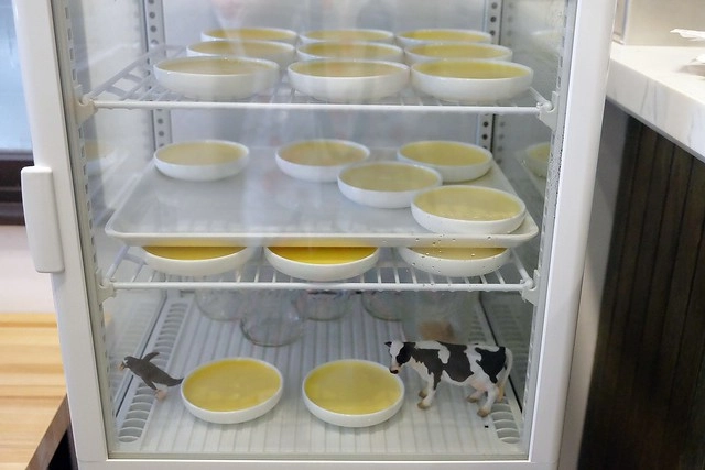 早伴早餐|老宅改建早午餐店,環境簡單樸實,餐點平價深受學生族群的喜歡 @飛天璇的口袋