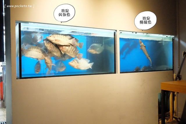 城裡城外巫山烤魚┃台中西區美食:現點現烤活魚料理,台中第一間巫山烤魚,老闆是正宗大陸人,消費打卡送一壺涼茶 @飛天璇的口袋