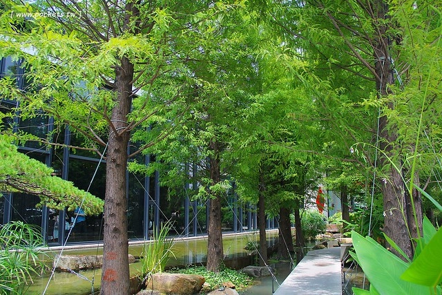 台中南屯|与玥樓粵菜點心餐廳,台中米其林推介粵菜餐廳,座落於落松羽間的漂亮建築 @飛天璇的口袋