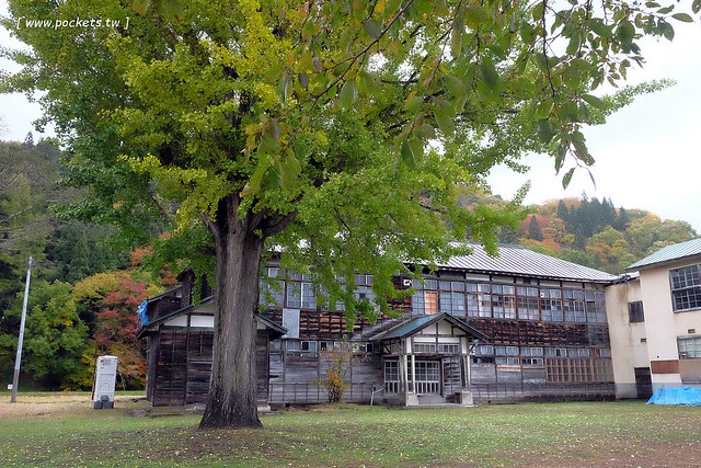 日本福島|只見線.世界上最浪漫的鐵道路線之一,穿梭廣闊浩瀚的奧會津地區,日本紅葉美景鐵道路線第一名 @飛天璇的口袋