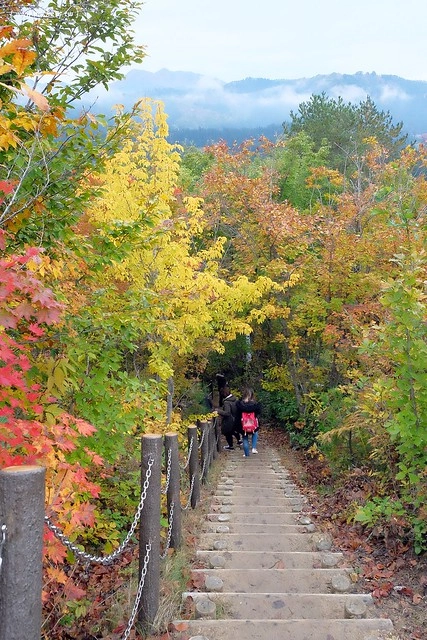 日本福島|只見線.世界上最浪漫的鐵道路線之一,穿梭廣闊浩瀚的奧會津地區,日本紅葉美景鐵道路線第一名 @飛天璇的口袋