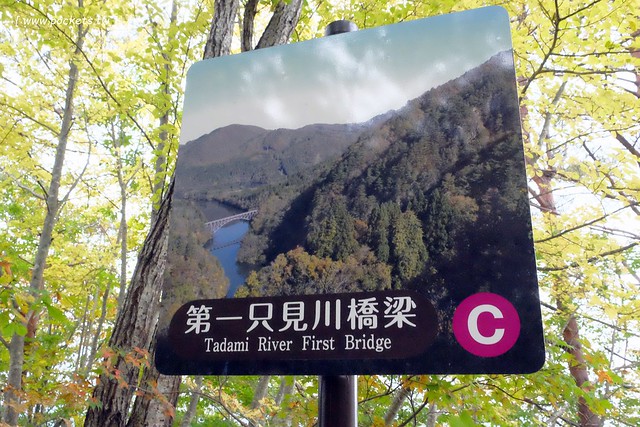 日本福島|只見線.世界上最浪漫的鐵道路線之一,穿梭廣闊浩瀚的奧會津地區,日本紅葉美景鐵道路線第一名 @飛天璇的口袋