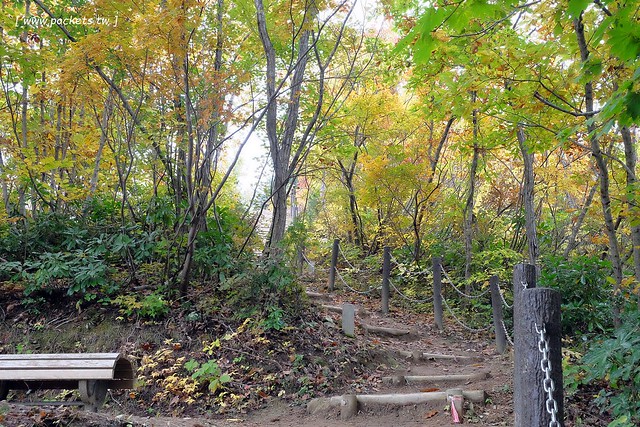 日本福島|只見線.世界上最浪漫的鐵道路線之一,穿梭廣闊浩瀚的奧會津地區,日本紅葉美景鐵道路線第一名 @飛天璇的口袋