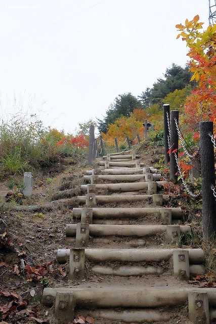 日本福島|只見線.世界上最浪漫的鐵道路線之一,穿梭廣闊浩瀚的奧會津地區,日本紅葉美景鐵道路線第一名 @飛天璇的口袋