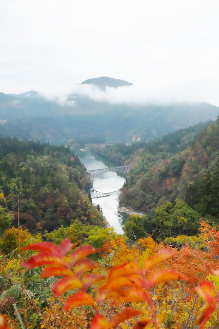 日本福島|只見線.世界上最浪漫的鐵道路線之一,穿梭廣闊浩瀚的奧會津地區,日本紅葉美景鐵道路線第一名 @飛天璇的口袋