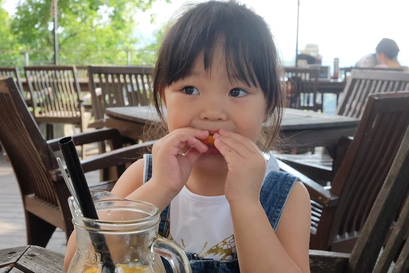 VilaVilla魔法莊園|苗栗卓蘭景觀餐廳,結合樹屋、沙坑、溜滑梯,苗栗親子美食旅遊景點推薦 @飛天璇的口袋