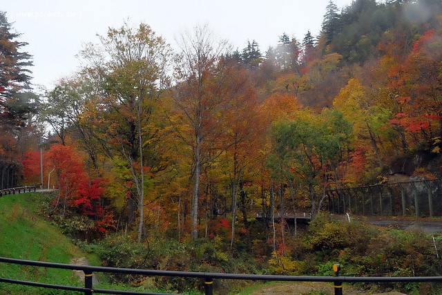 日本福島|只見線.世界上最浪漫的鐵道路線之一,穿梭廣闊浩瀚的奧會津地區,日本紅葉美景鐵道路線第一名 @飛天璇的口袋