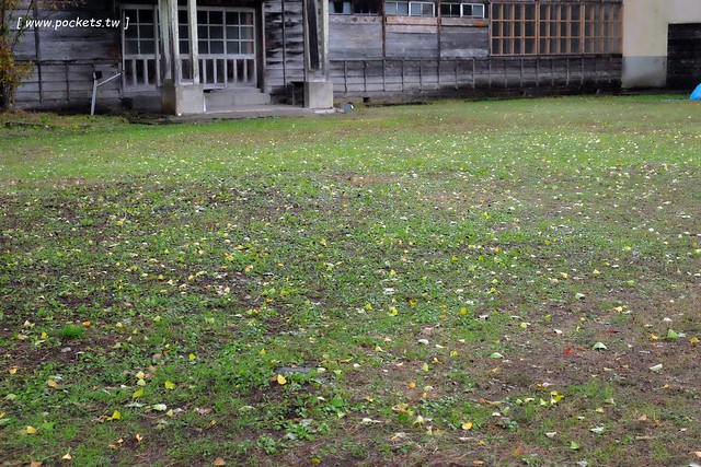 日本福島|只見線.世界上最浪漫的鐵道路線之一,穿梭廣闊浩瀚的奧會津地區,日本紅葉美景鐵道路線第一名 @飛天璇的口袋