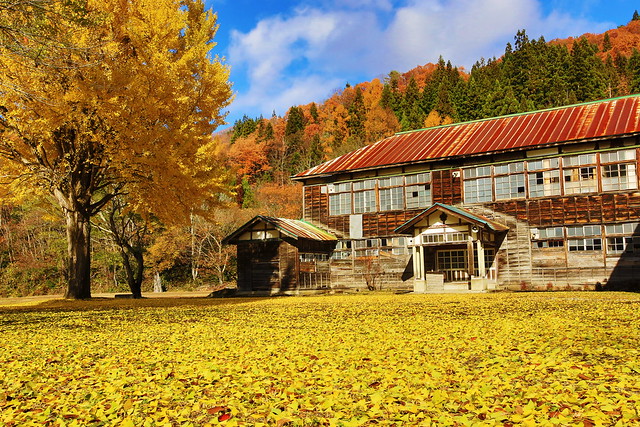 日本福島|只見線.世界上最浪漫的鐵道路線之一,穿梭廣闊浩瀚的奧會津地區,日本紅葉美景鐵道路線第一名 @飛天璇的口袋
