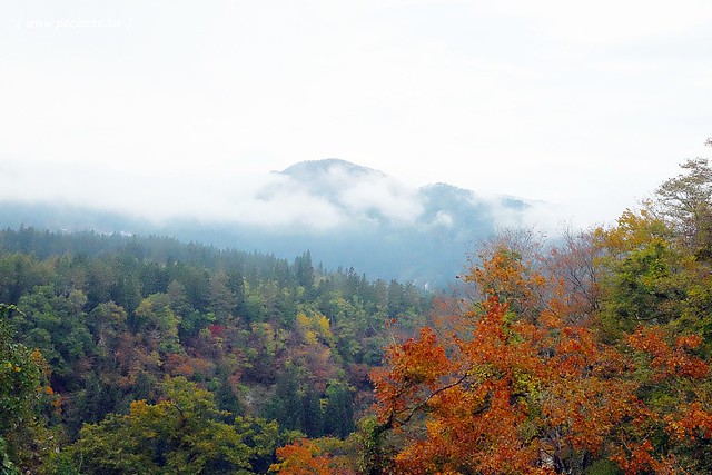 日本福島|只見線.世界上最浪漫的鐵道路線之一,穿梭廣闊浩瀚的奧會津地區,日本紅葉美景鐵道路線第一名 @飛天璇的口袋