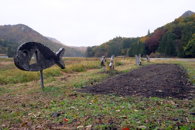日本福島|只見線.世界上最浪漫的鐵道路線之一,穿梭廣闊浩瀚的奧會津地區,日本紅葉美景鐵道路線第一名 @飛天璇的口袋