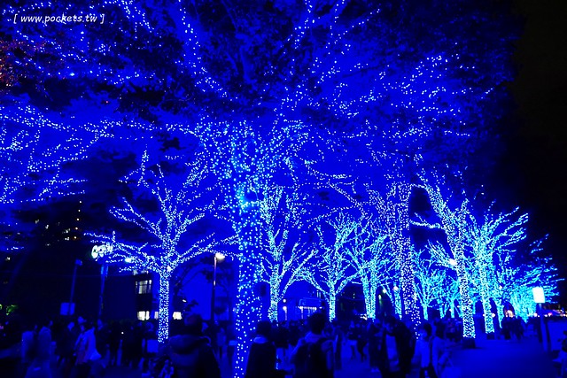 【日本東京】澀谷青之洞窟 SHIBUYA~長約800公尺的藍色燈海,從代代木公園延伸到澀谷公園,2017年資訊更新:2017年11月22日(星期三) – 2017年12月31日 @飛天璇的口袋
