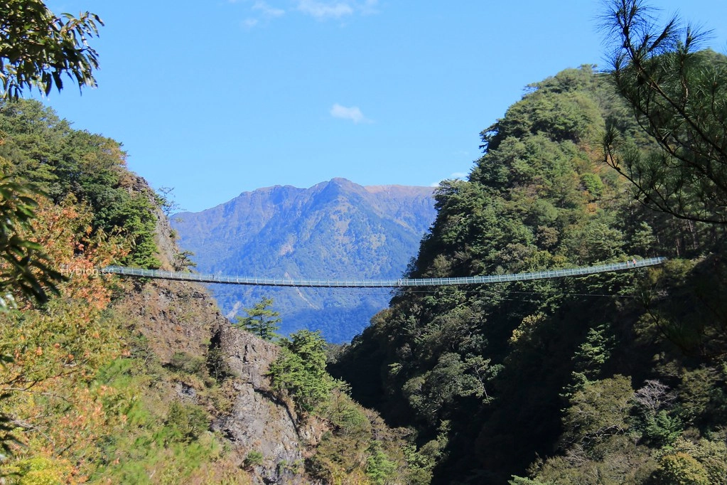 南投一日遊:奧萬大賞秋楓,南投最後一片淨土武界部落,在地隱藏版溫泉春陽部落 @飛天璇的口袋