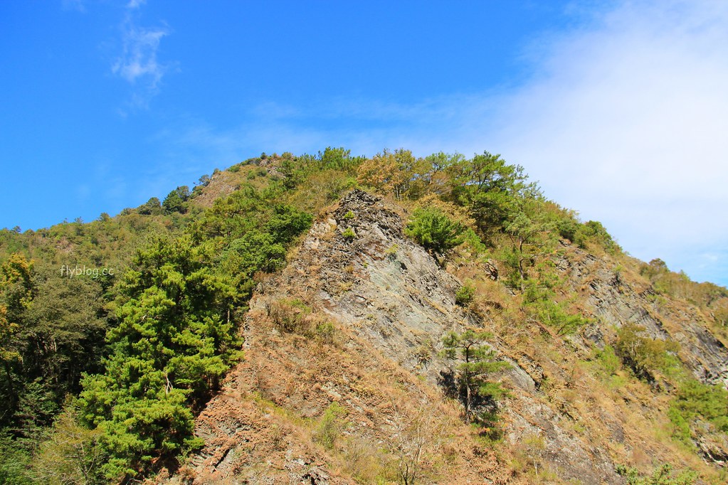 南投一日遊:奧萬大賞秋楓,南投最後一片淨土武界部落,在地隱藏版溫泉春陽部落 @飛天璇的口袋