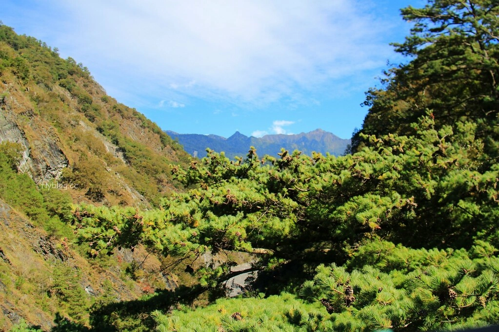 南投一日遊:奧萬大賞秋楓,南投最後一片淨土武界部落,在地隱藏版溫泉春陽部落 @飛天璇的口袋