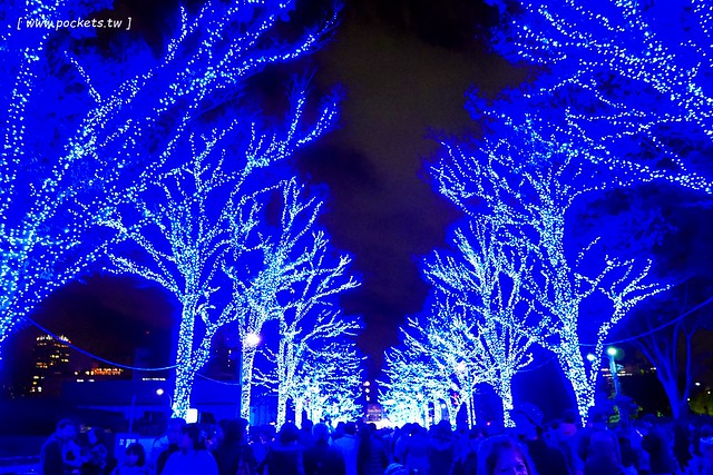 【日本東京】澀谷青之洞窟 SHIBUYA~長約800公尺的藍色燈海,從代代木公園延伸到澀谷公園,2017年資訊更新:2017年11月22日(星期三) – 2017年12月31日 @飛天璇的口袋