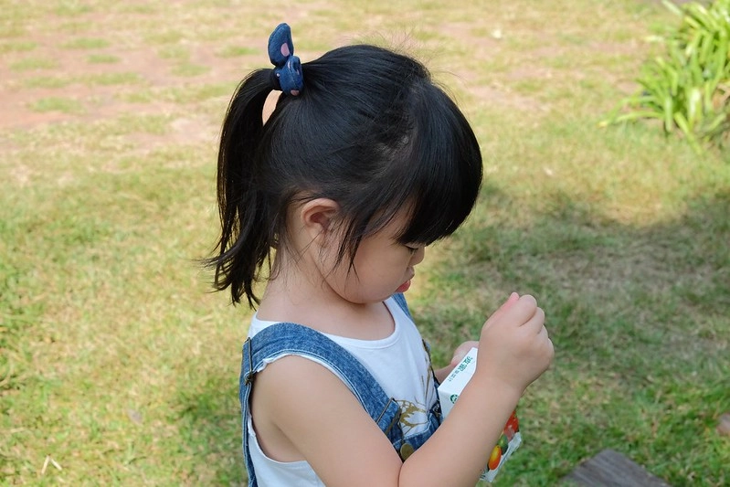 VilaVilla魔法莊園|苗栗卓蘭景觀餐廳,結合樹屋、沙坑、溜滑梯,苗栗親子美食旅遊景點推薦 @飛天璇的口袋