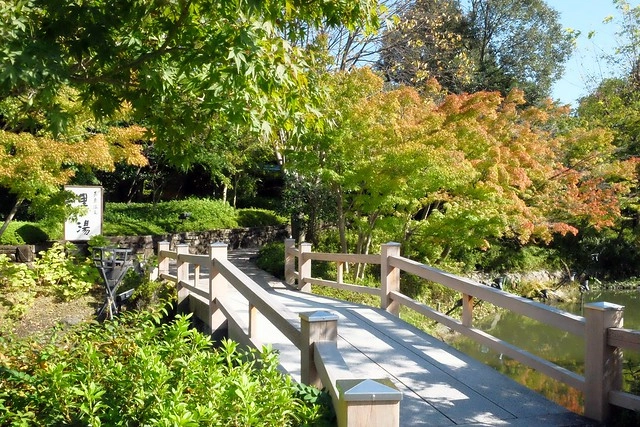 【日本三重】名花之里.なばなの里~日本冬季最大燈海,冬季百萬點燈活動(附從榮町到長島溫泉outlet的交通方式) @飛天璇的口袋