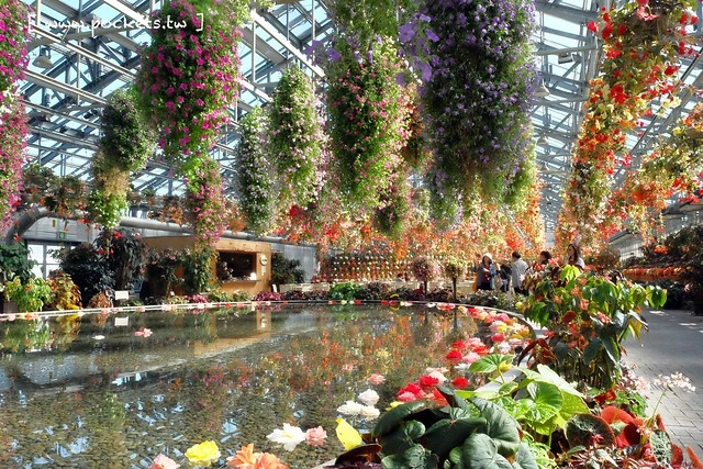 【日本三重】名花之里.なばなの里~日本冬季最大燈海,冬季百萬點燈活動(附從榮町到長島溫泉outlet的交通方式) @飛天璇的口袋