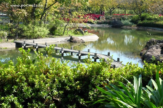 【日本三重】名花之里.なばなの里~日本冬季最大燈海,冬季百萬點燈活動(附從榮町到長島溫泉outlet的交通方式) @飛天璇的口袋