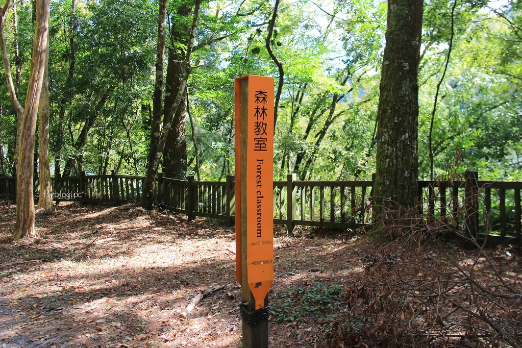 南投一日遊:奧萬大賞秋楓,南投最後一片淨土武界部落,在地隱藏版溫泉春陽部落 @飛天璇的口袋