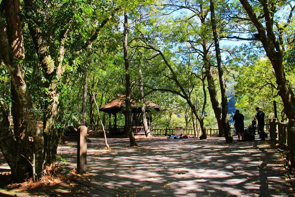 南投一日遊:奧萬大賞秋楓,南投最後一片淨土武界部落,在地隱藏版溫泉春陽部落 @飛天璇的口袋