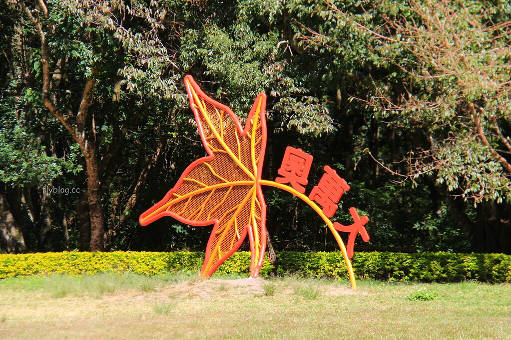 南投一日遊:奧萬大賞秋楓,南投最後一片淨土武界部落,在地隱藏版溫泉春陽部落 @飛天璇的口袋