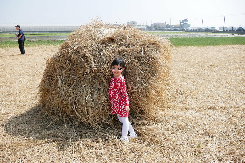 稻草捲心酥:草地上巨型咖啡捲心酥,IG打卡熱門景點,嘉義新港就有哦! @飛天璇的口袋