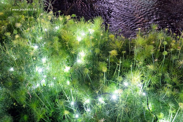 台中柳川藍帶水岸┃台中旅遊景點:號稱台中版的首爾清溪川,用LED燈打造藍色河道,台中最近IG超夯打卡新景點,晚上點燈只到2/12 @飛天璇的口袋