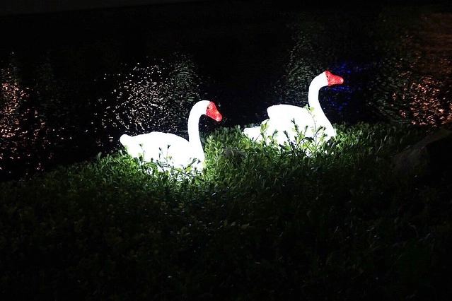 台中柳川藍帶水岸┃台中旅遊景點:號稱台中版的首爾清溪川,用LED燈打造藍色河道,台中最近IG超夯打卡新景點,晚上點燈只到2/12 @飛天璇的口袋