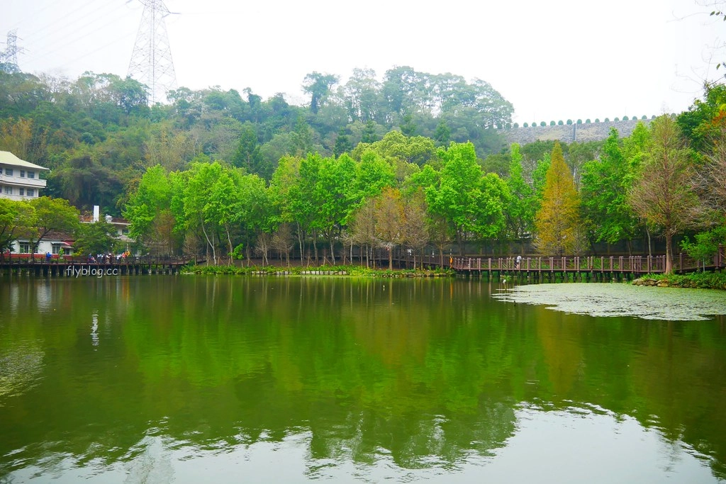 南投水里|車埕一日遊.搭乘小火車,絕美貯木池,車埕美食景點推薦 @飛天璇的口袋 南投水里|車埕一日遊.搭乘小火車,絕美貯木池,車埕美食景點推薦 @飛天璇的口袋