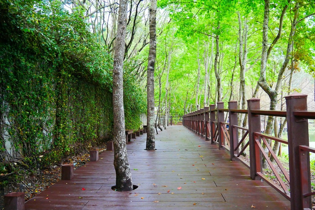 南投水里|車埕一日遊.搭乘小火車,絕美貯木池,車埕美食景點推薦 @飛天璇的口袋 南投水里|車埕一日遊.搭乘小火車,絕美貯木池,車埕美食景點推薦 @飛天璇的口袋