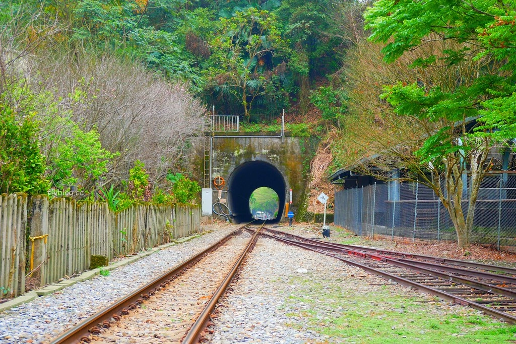 南投水里|車埕一日遊.搭乘小火車,絕美貯木池,車埕美食景點推薦 @飛天璇的口袋 南投水里|車埕一日遊.搭乘小火車,絕美貯木池,車埕美食景點推薦 @飛天璇的口袋