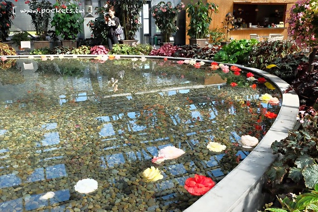 【日本三重】名花之里.なばなの里~日本冬季最大燈海,冬季百萬點燈活動(附從榮町到長島溫泉outlet的交通方式) @飛天璇的口袋